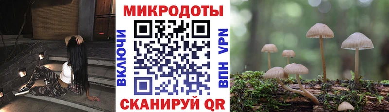 как найти закладки  Морозовск  Псилоцибиновые грибы Psilocybe 